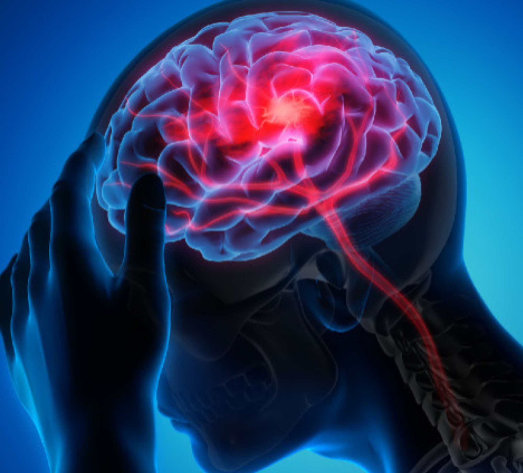 Untitled design - 2026-02-24T161117.946